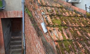 Remplacement de toiture et travaux  de zinguerie Place Dupuy- Toulouse 31000